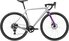 silver/purple