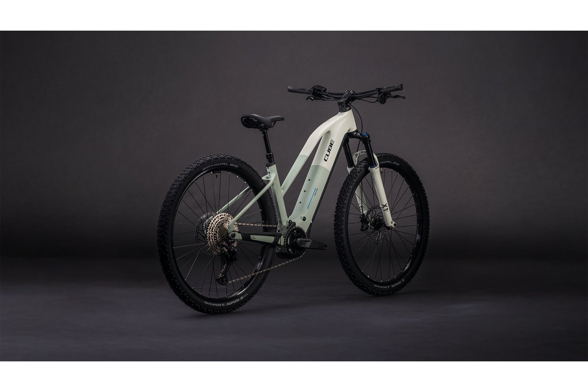 Cube Reaction Hybrid Pro 800 - 800 Wh - 29 Zoll - Damen Sport