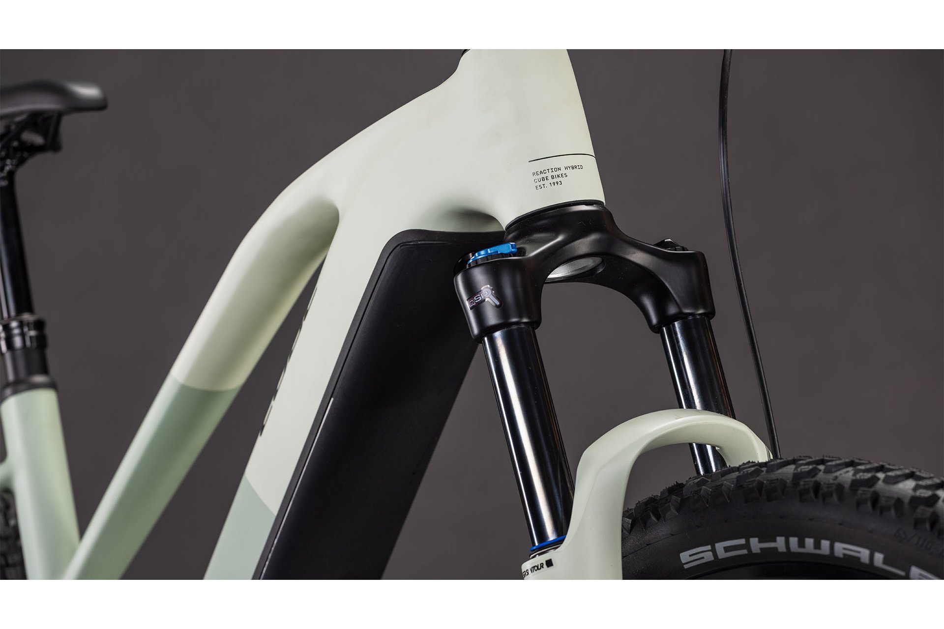 Cube Reaction Hybrid Pro 800 - 800 Wh - 29 Zoll - Damen Sport