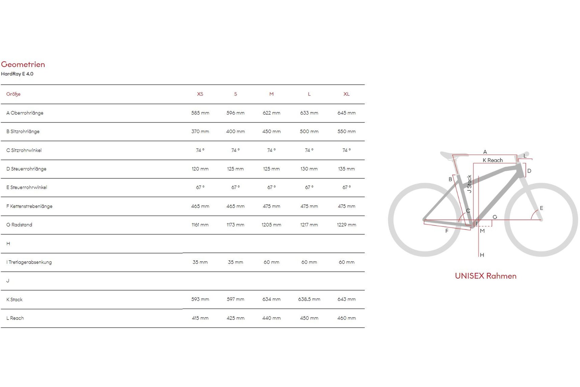 Raymon HardRay E 4.0 - 500 Wh - 29 Zoll - Diamant