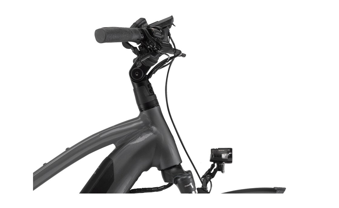Winora Sinus i9 - 500 Wh - 28 Zoll - Damen Sport - Aktion