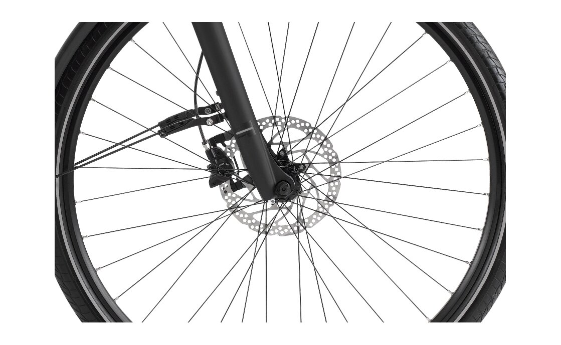 Winora Sinus i9 - 500 Wh - 28 Zoll - Damen Sport - Aktion