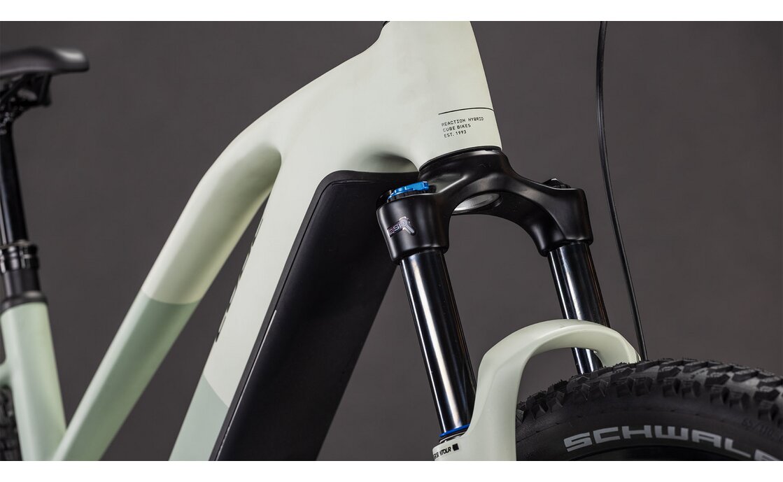 Cube Reaction Hybrid Pro 800 - 800 Wh - 29 Zoll - Damen Sport