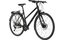 Carver Uniq Zwei - 28 Zoll - Damen Sport - 2024