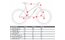 Carver Tour 100 n - 28 Zoll - Damen Sport - 2024