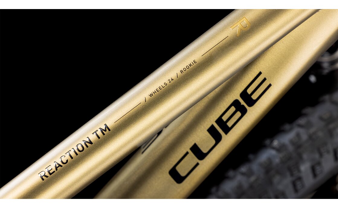 Cube Reaction 240 TM - 24 Zoll - Diamant - 2026