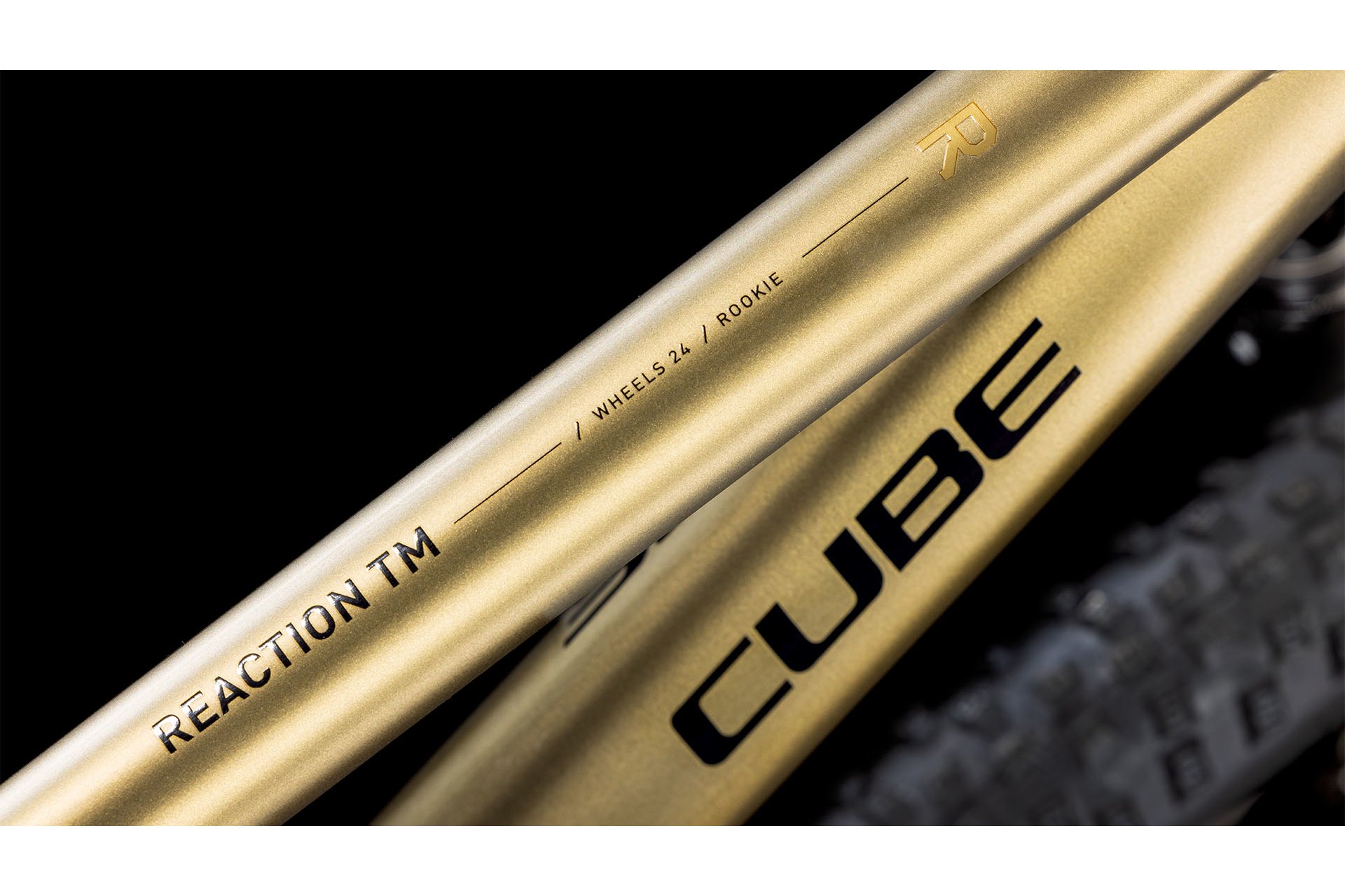 Cube Reaction 240 TM - 24 Zoll - Diamant - 2026