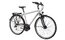 Gudereit LC-15 - 28 Zoll - Diamant - 2023