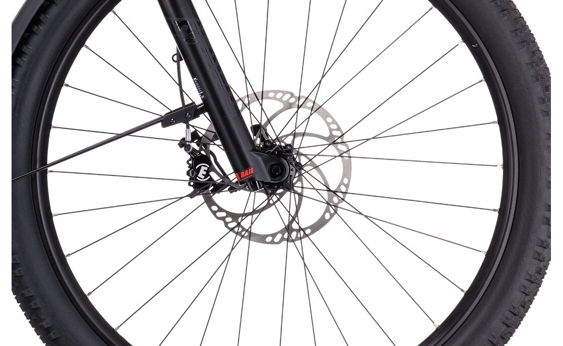 Cube Stereo Hybrid 120 Race 750 Allroad - 750 Wh - 29 Zoll - Fully