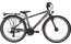 Lakes Free 26 SL - 26 Zoll - Diamant - 2024