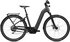 cold anthracite gloss