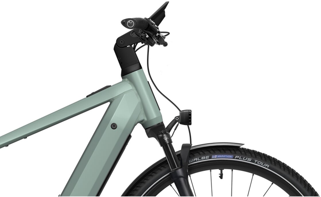 Flyer Gotour 7.23 NL - 800 Wh - 28 Zoll - Diamant - 2025