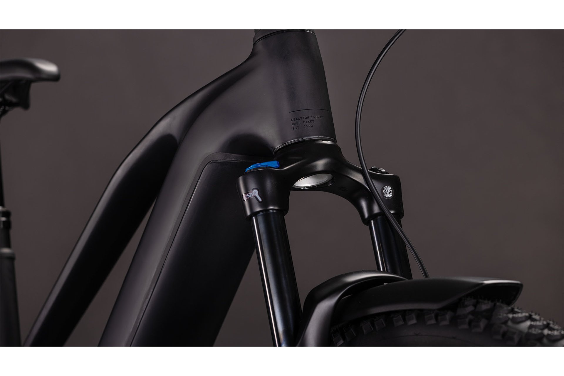 Cube Reaction Hybrid Pro 800 FE - 800 Wh - 29 Zoll - Damen Sport - 2026