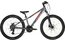 Carver Strict 24 HD - 24 Zoll - Diamant - 2024