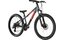 Carver Strict 24 HD - 24 Zoll - Diamant - 2024