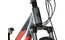 Carver Strict 24 HD - 24 Zoll - Diamant - 2024