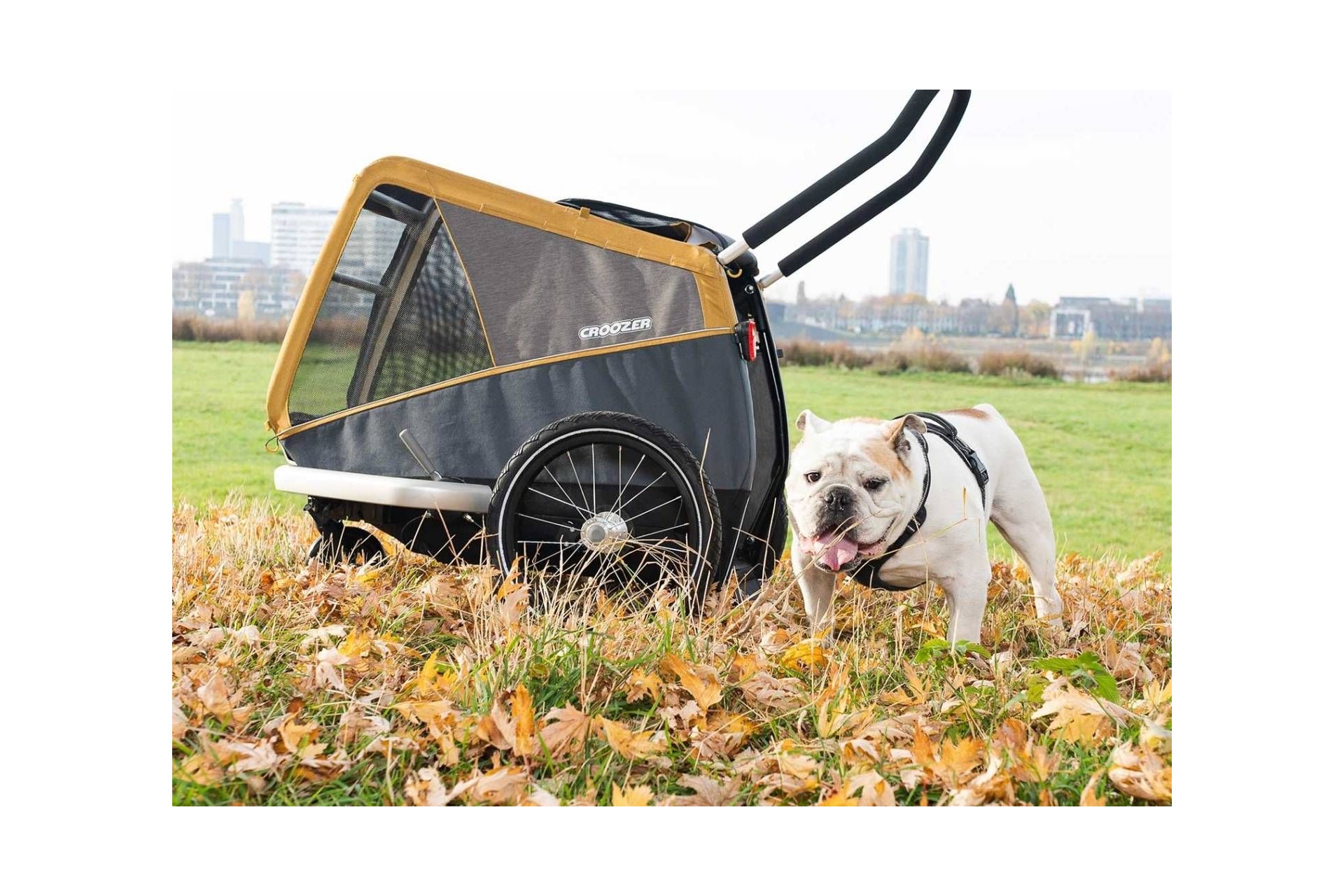 Croozer Buggy-Set Dog - für Dog Peppa