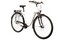 Carver Cityzen 110 - 28 Zoll - Tiefeinsteiger - 2024