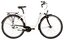 Carver Cityzen 110 - 28 Zoll - Tiefeinsteiger - 2024