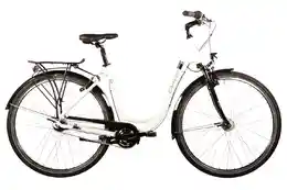 Carver Cityzen 110 - 28 Zoll - Tiefeinsteiger - 2026