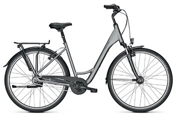 Raleigh - Raleigh Chester 8 - 2021 - 28 Zoll - Tiefeinsteiger