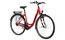 Carver Cityzen 110 - 28 Zoll - Tiefeinsteiger - 2024