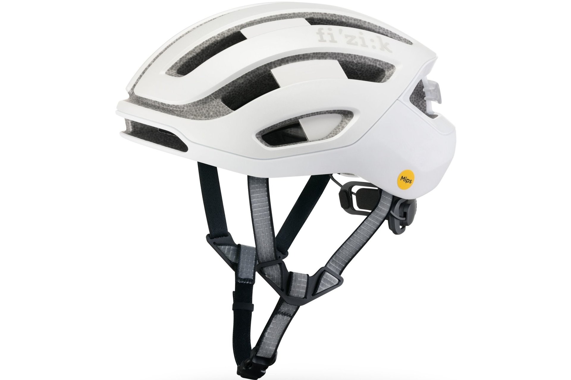 Fizik Kudo MIPS