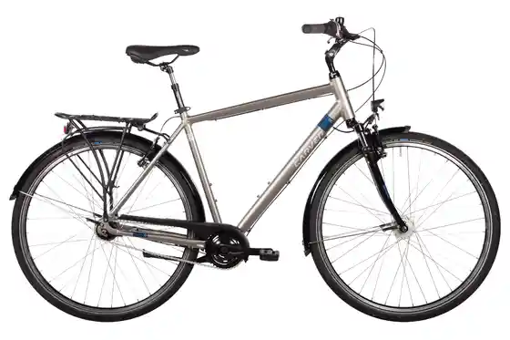 Aluminium - Citybike - Carver Cityzen 110 - 28 Zoll - Diamant - 2026