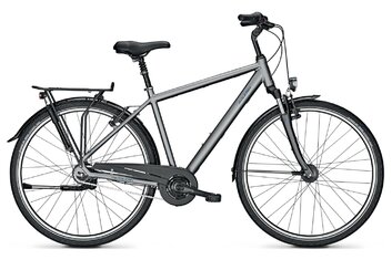 Raleigh - Raleigh Chester 8 - 2021 - 28 Zoll - Diamant