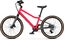 Woom Explore 4 - 20 Zoll - Diamant - 2026