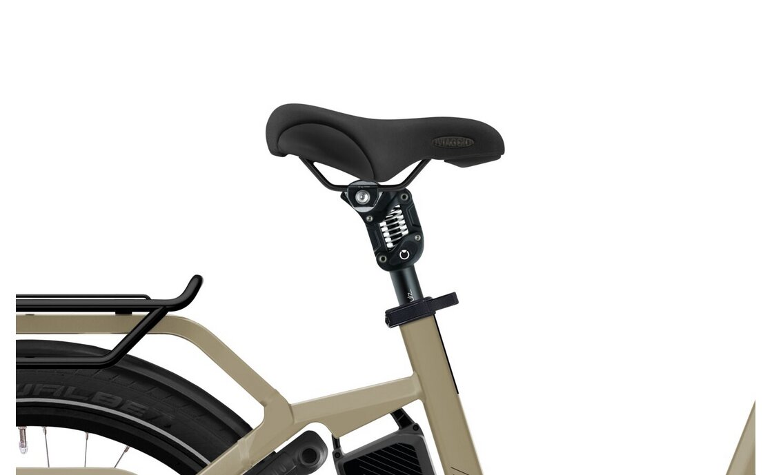 Flyer Gotour3 7.43 - 630 Wh - 26 Zoll - Tiefeinsteiger