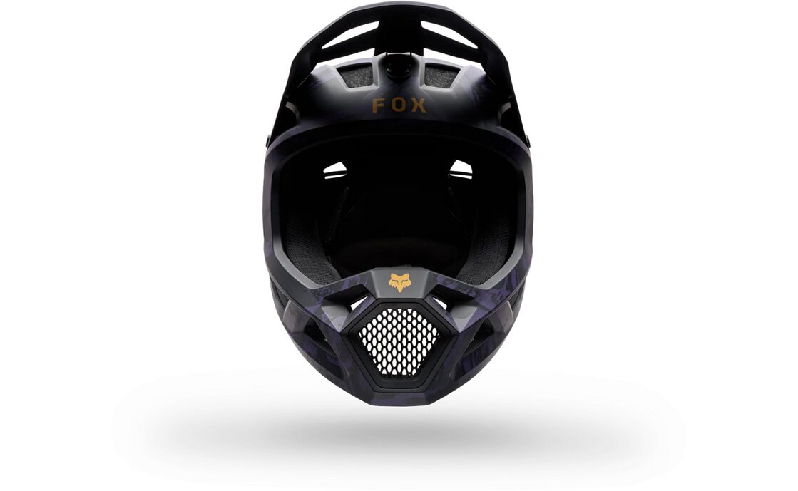 Fox Rampage Img Print