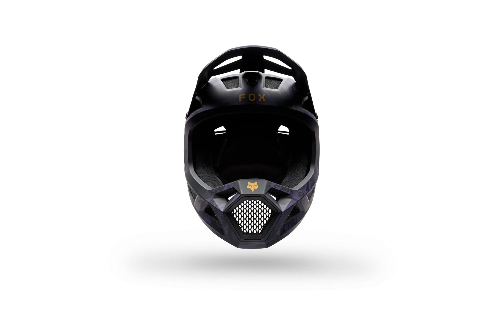 Fox Rampage Img Print