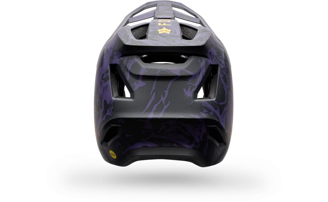 Fox Rampage Img Print