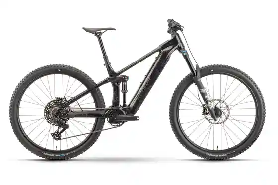 Mittelmotor - E-Bike-Pedelec - Raymon Durok Ultra - 800 Wh - 29 Zoll - Fully