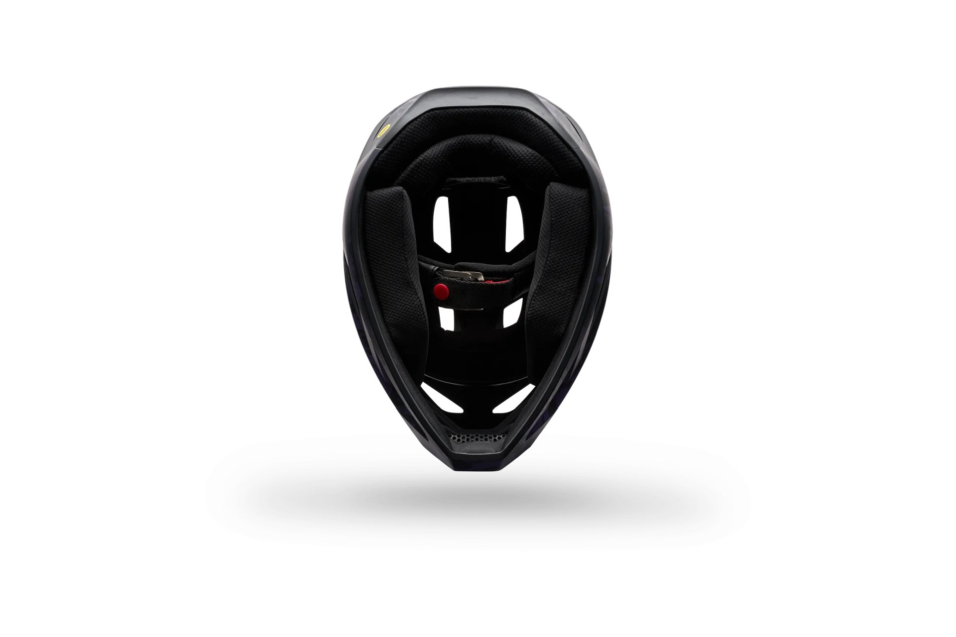 Fox Rampage Img Print