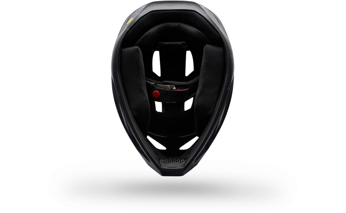 Fox Rampage Img Print