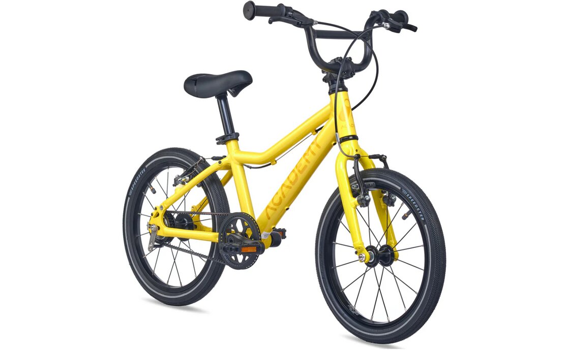 Academy Grade 3 Belt - 16 Zoll - Diamant - 2026