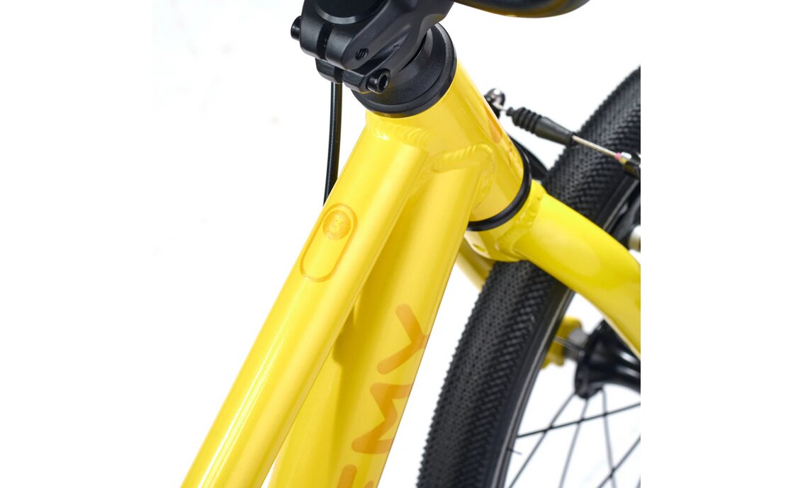 Academy Grade 3 Belt - 16 Zoll - Diamant - 2026