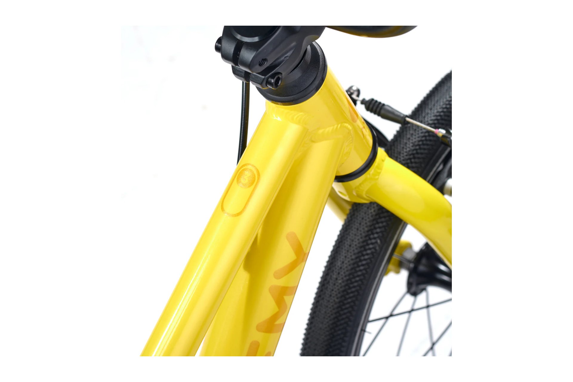 Academy Grade 3 Belt - 16 Zoll - Diamant - 2026