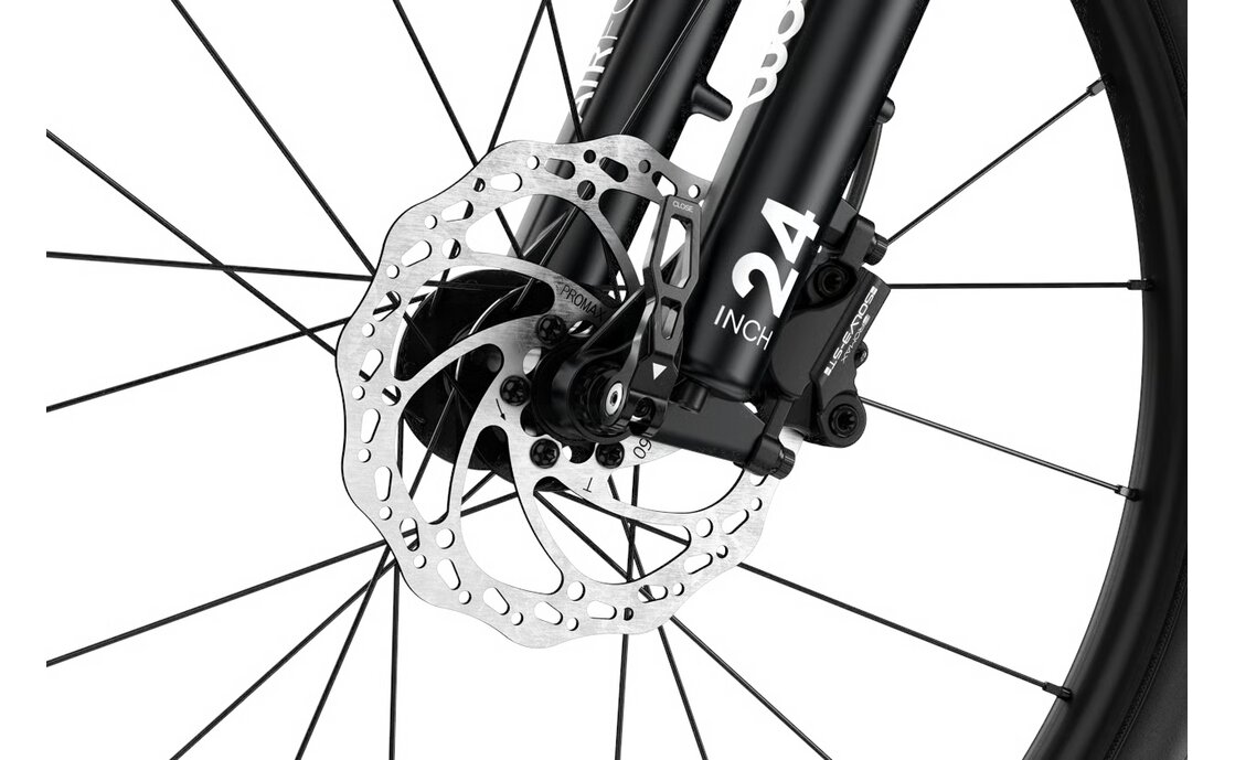 Woom UP 5 - 250 Wh - 24 Zoll - Diamant