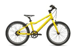 Academy Grade 4 Belt - 20 Zoll - Diamant - 2026