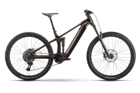 E-Bike-Pedelec - Raymon Durok Pro - 800 Wh - 29 Zoll - Fully
