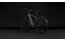 Cube Kathmandu Hybrid Deluxe EXC 800 - 800 Wh - 28 Zoll - Diamant - 2027