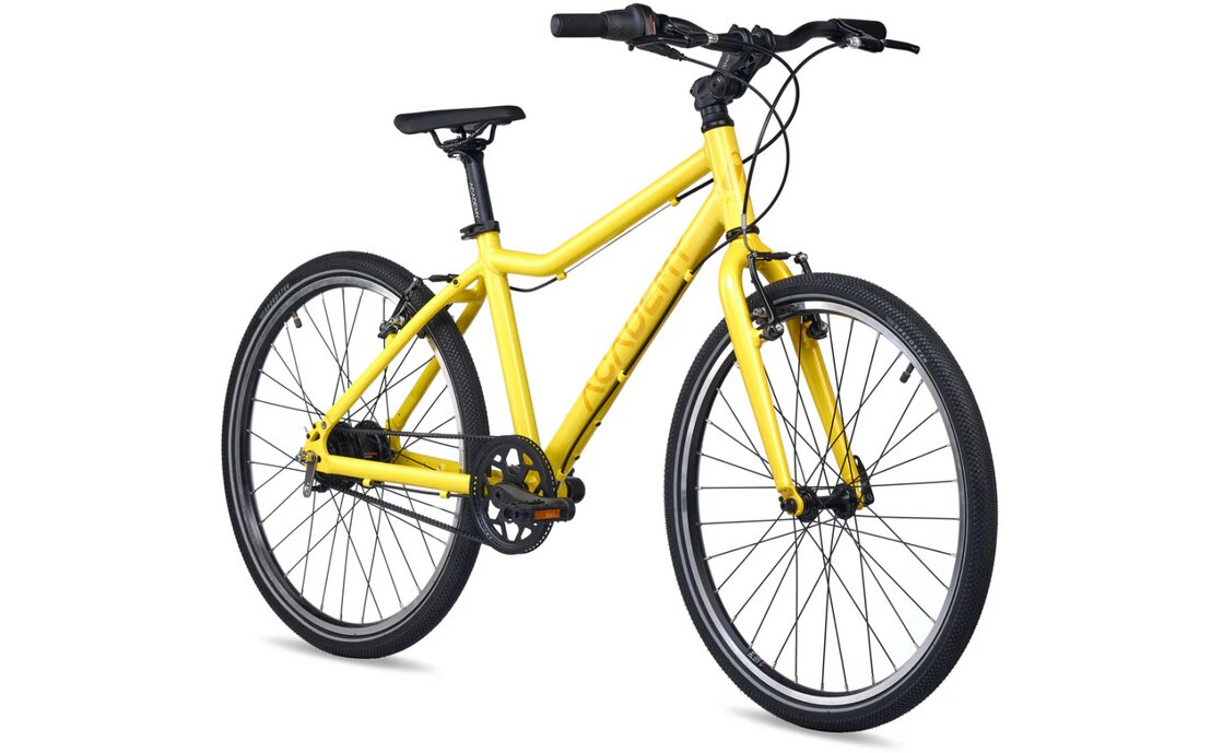 Academy Grade 5 Belt - 24 Zoll - Diamant - 2026