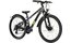 Carver Strict 24 HD Street - 24 Zoll - Diamant - 2024