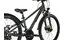 Carver Strict 24 HD Street - 24 Zoll - Diamant - 2024