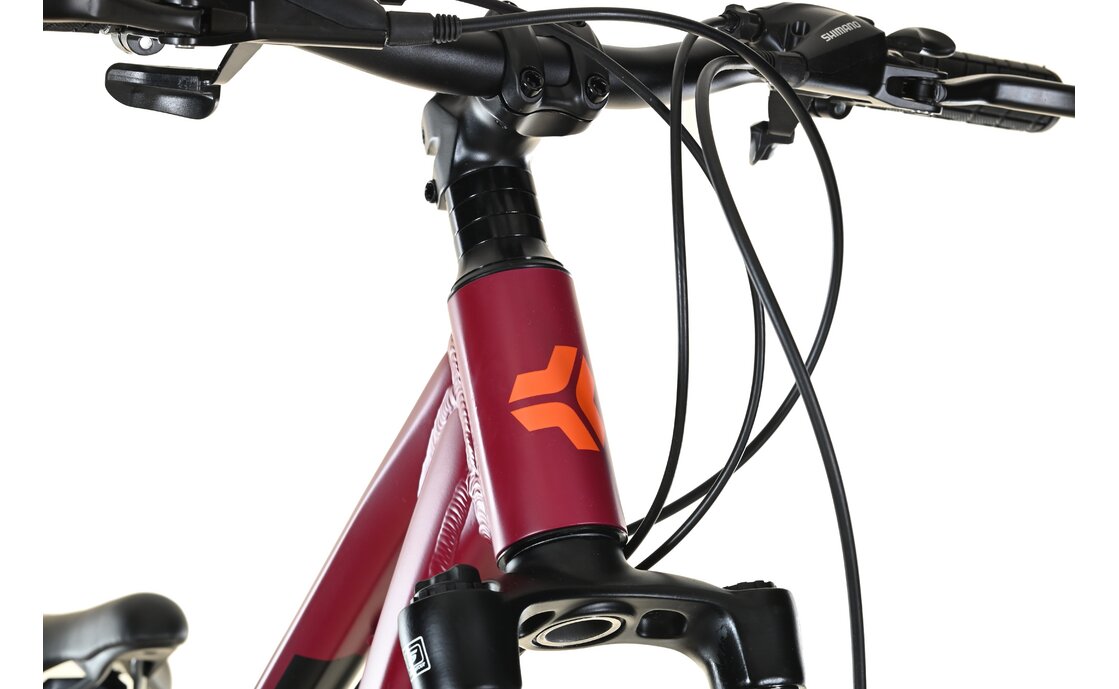 Carver Strict 24 HD Girl - 24 Zoll - Diamant - 2024