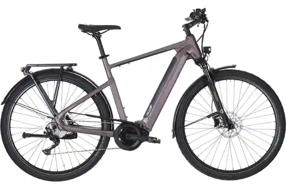 E-Bike Trekking - Carver Route E.520 - 625 Wh - 28 Zoll - Diamant - 2026
