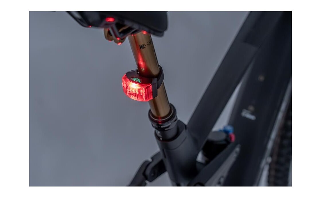 Cube ACID Rücklicht Pro Evolution